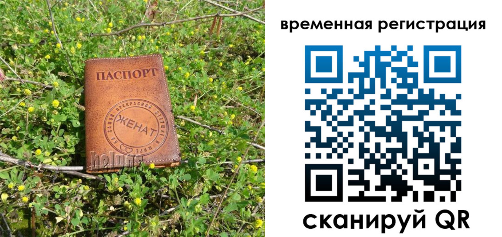 прописка регистрация в Фокино